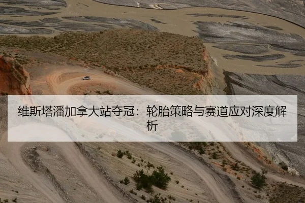 维斯塔潘加拿大站夺冠：轮胎策略与赛道应对深度解析